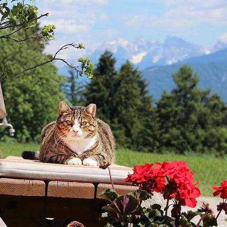 Niederhaeusererhof Falzes Exteriér fotografie