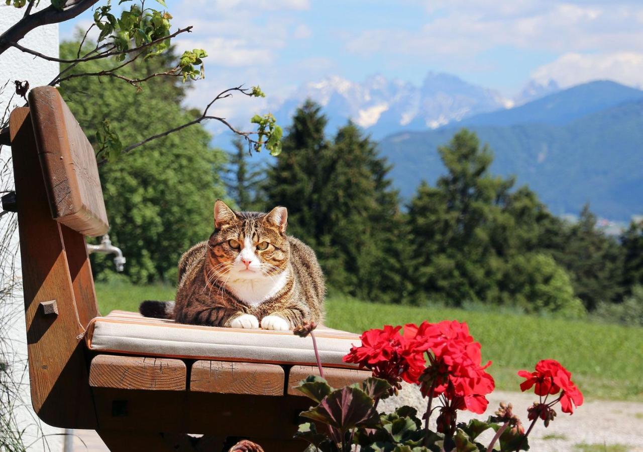 Niederhaeusererhof Falzes Exteriér fotografie