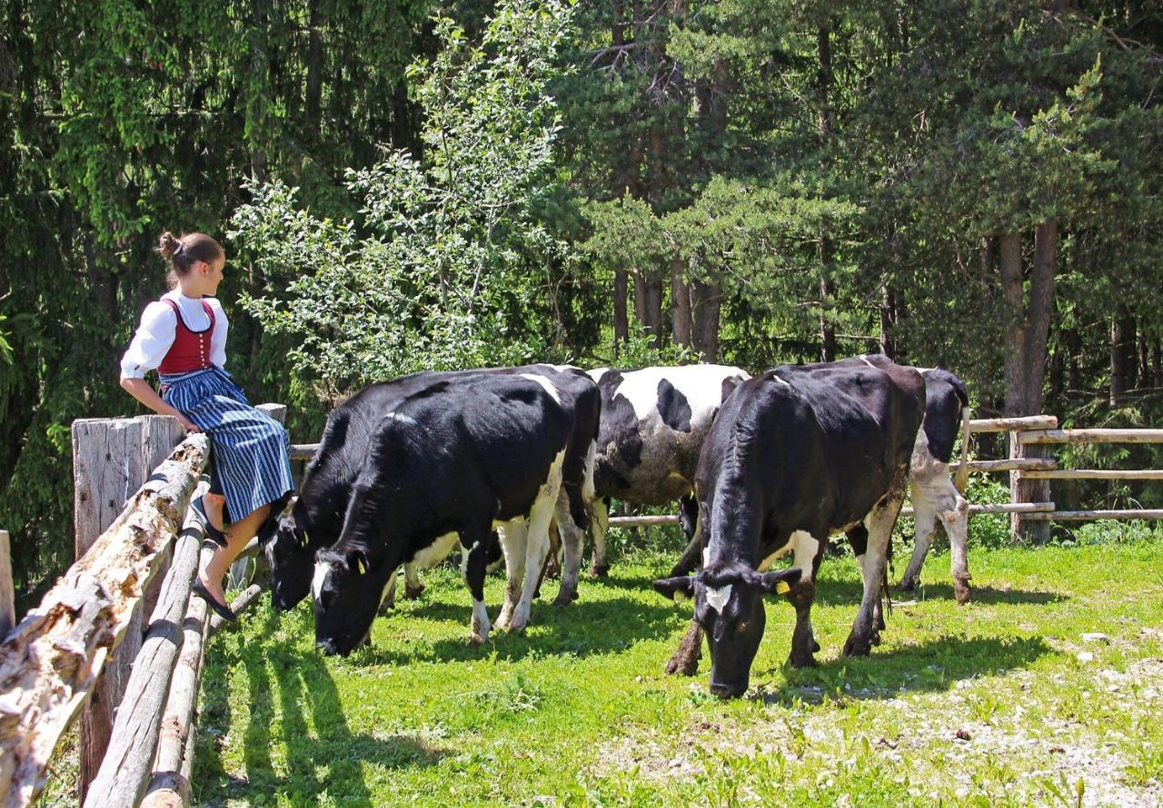 Niederhaeusererhof Falzes Exteriér fotografie